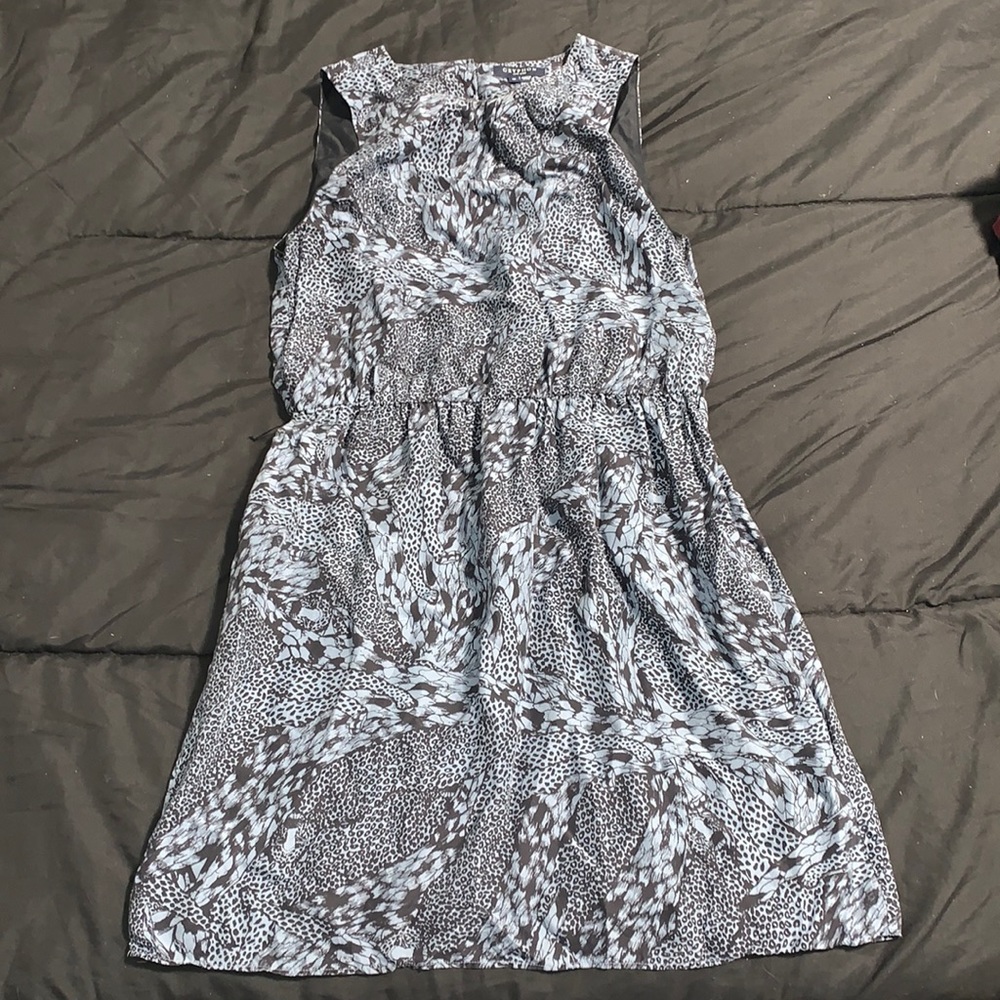 Gryphon Dress